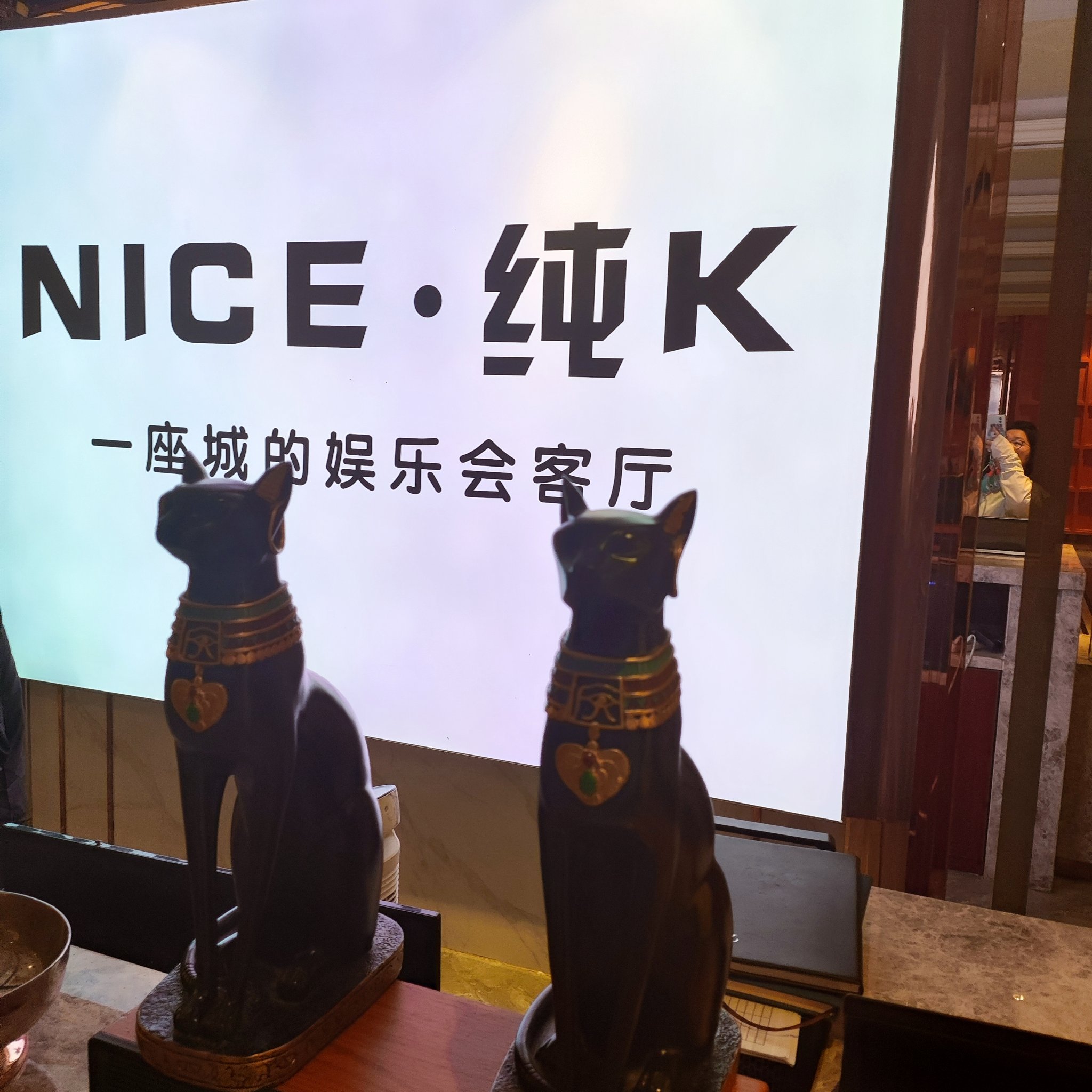 德州商务KTV组局攻略-平原县ktv预定